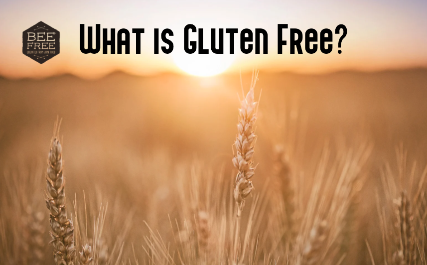 How Do I Begin A Gluten-Free Diet